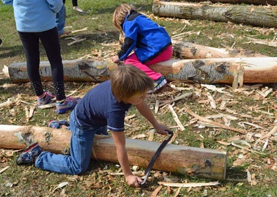 5 Boys And Logs